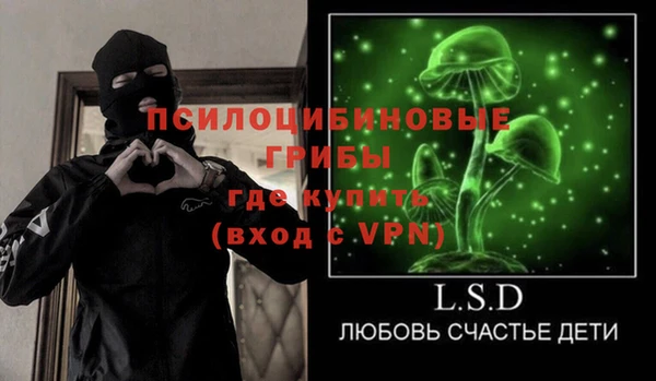 apvp Алексин