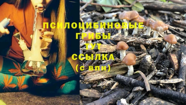 дживик Абинск