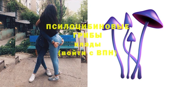 крисы Алексеевка